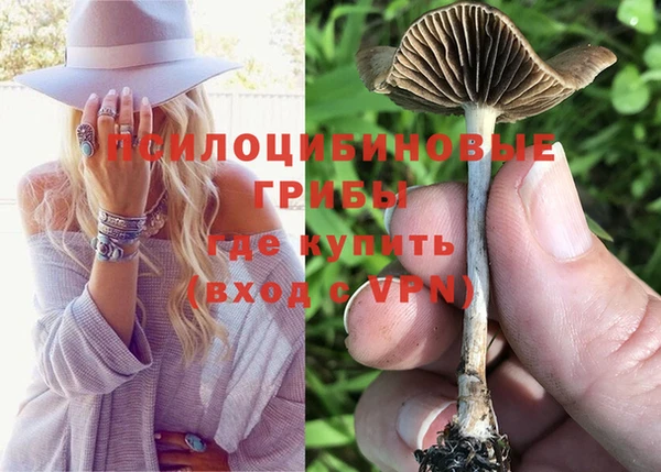 твердый Волоколамск